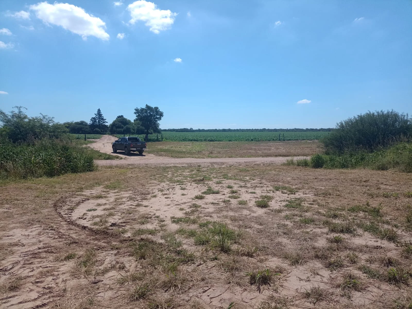 Campo productivo en Puesto de Sánchez con 197ha totales — foto 14