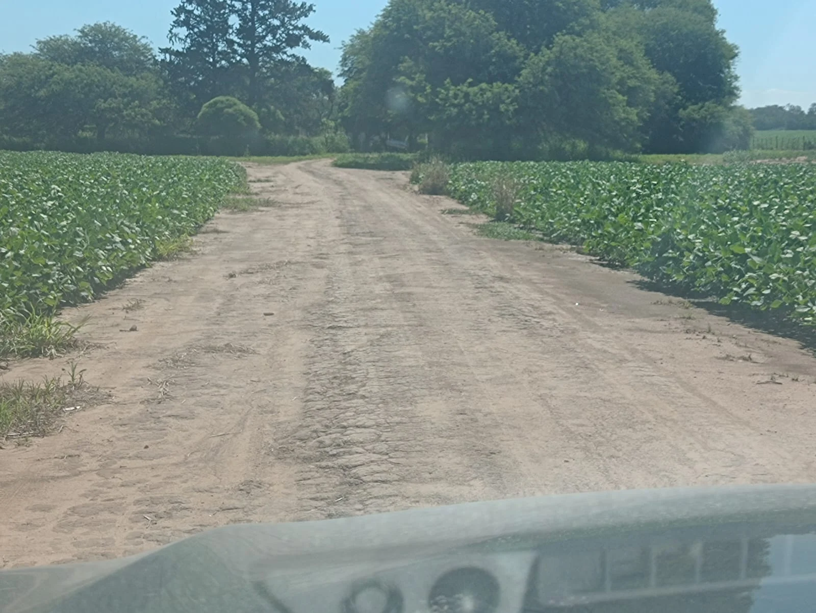 Campo productivo en Puesto de Sánchez con 197ha totales — foto 13