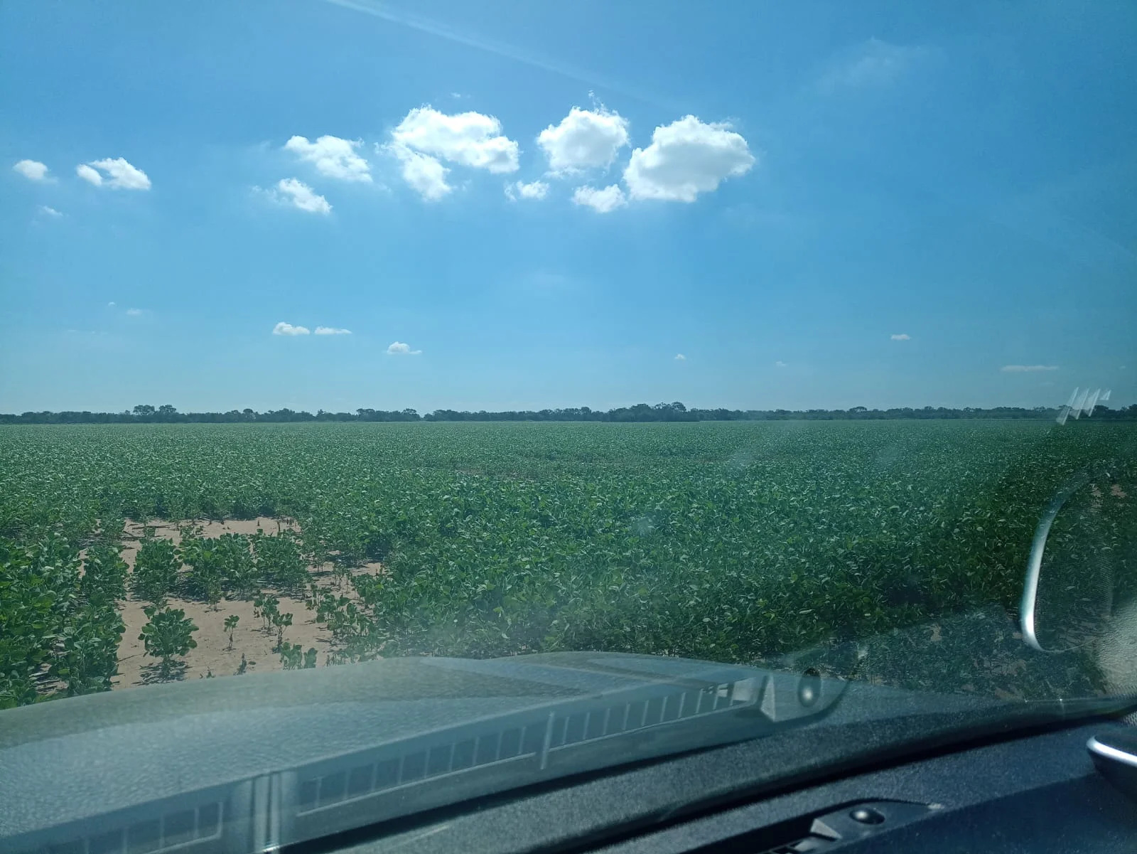 Campo productivo en Puesto de Sánchez con 197ha totales — foto 12
