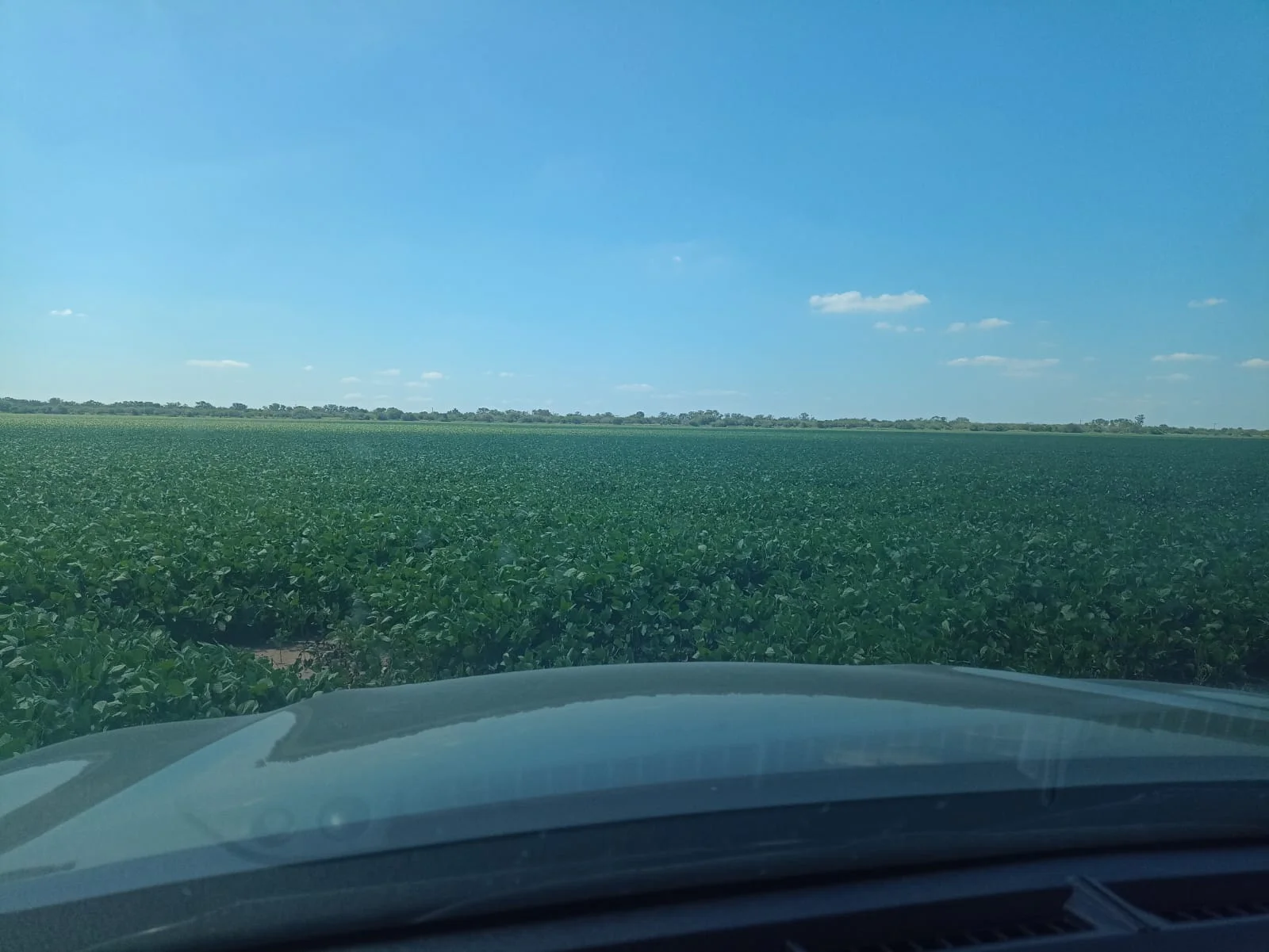 Campo productivo en Puesto de Sánchez con 197ha totales — foto 11