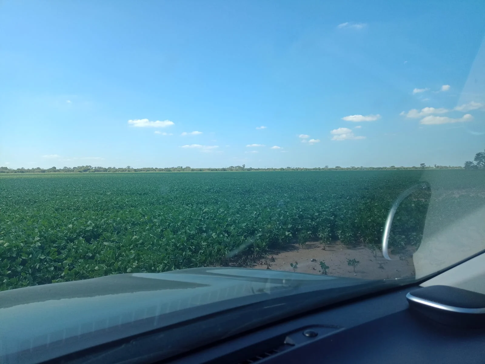 Campo productivo en Puesto de Sánchez con 197ha totales — foto 10