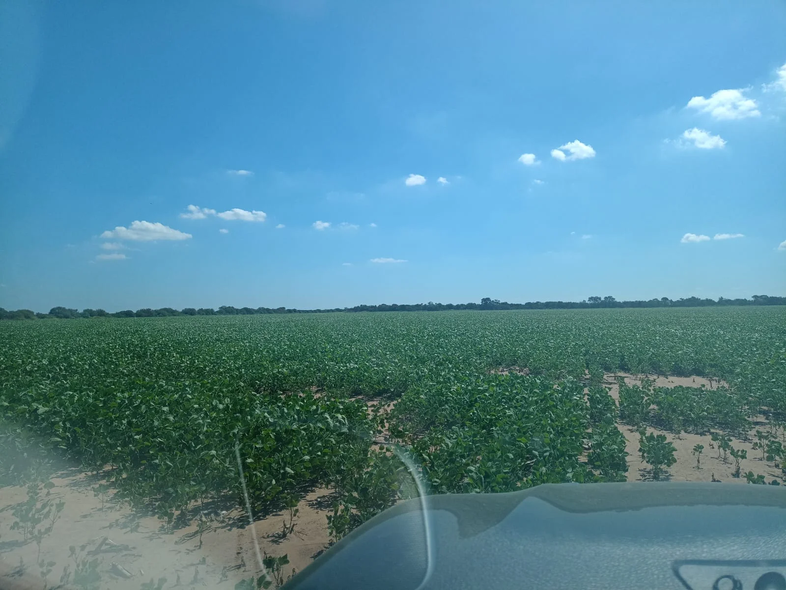 Campo productivo en Puesto de Sánchez con 197ha totales — foto 9