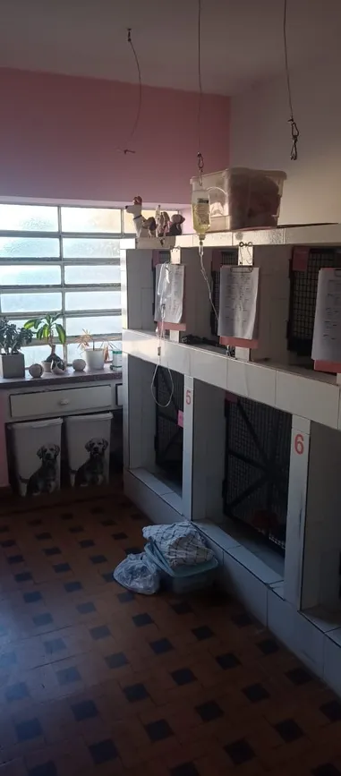 Casa de 3 dormitorios y pario grande en Venta – Avenida Juan B. Justo 1365 — foto 13