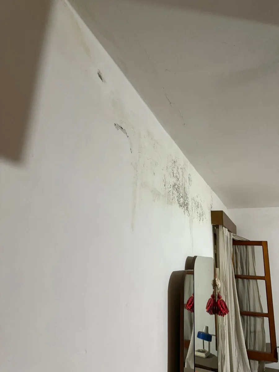 Ruta 9 Sinsacate: Casa con Locales y 938 m2 Terreno — foto 6