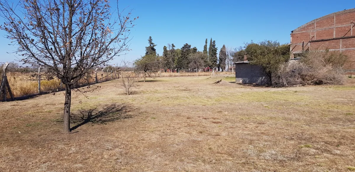 Terreno de 1 hectárea con perforación en Sinsacate — foto 12